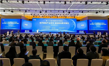 再度入選｜達(dá)華獲“2024中國軟件和信息技術(shù)服務(wù)競(jìng)爭(zhēng)力百強(qiáng)企業(yè)”榜